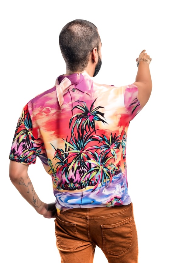 person_06_man_pointing_back__garment_03_shirt_dolce.jpg