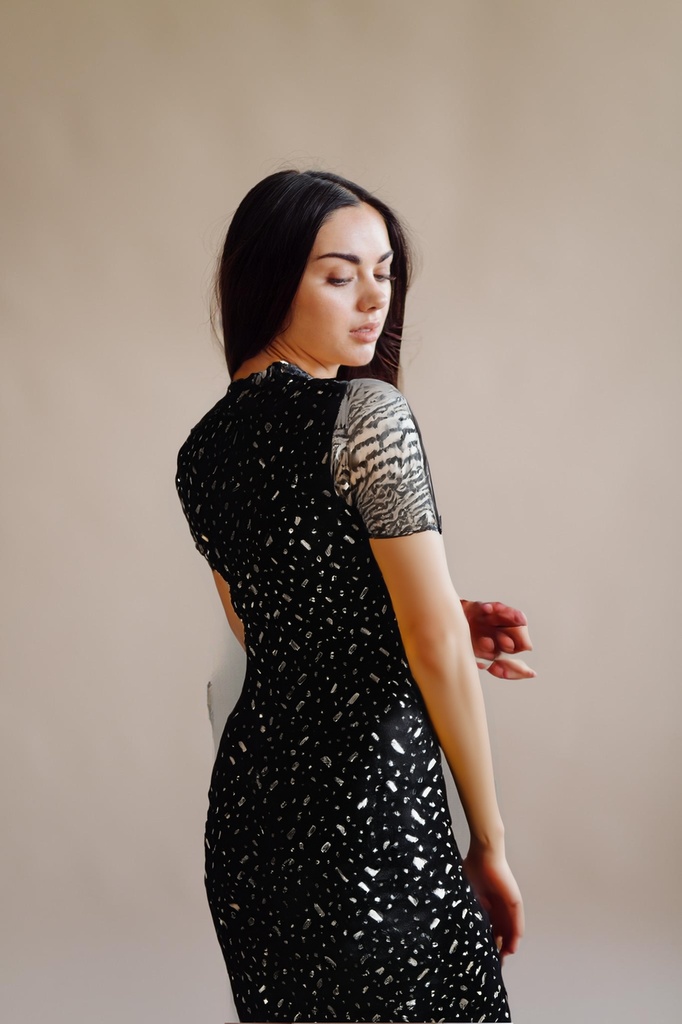 person_04_fashion_portrait_woman__garment_05_gown_black_sequin.jpg